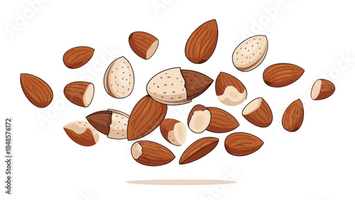 Nutritious almond medley featuring whole nuts, shelled kernels, and cracked shells in a scattered array