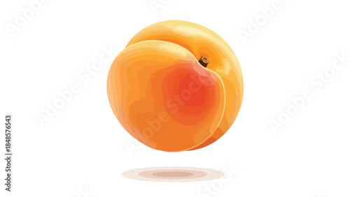 Vibrant solitary orange apricot fruit illustration showcasing fresh healthy organic produce perfect for nutritional food and beverage design
