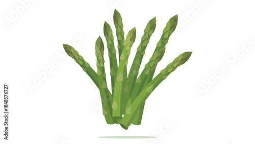 Freshly harvested vibrant green asparagus spears arranged on a pristine white background, showcasing healthy organic vegetable produce illustration