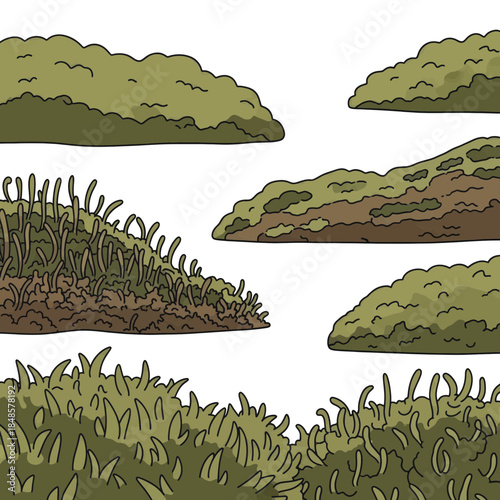 Cluster of dense green bushes and low shrubs.