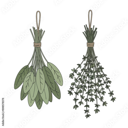 Two Bundle Sage Herbs Tied With String.