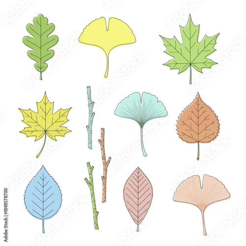 Assorted Leaf Illustrations Showcasing Diverse Shapes.