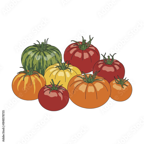 Group of ripe tomatoes in assorted colors illustration.