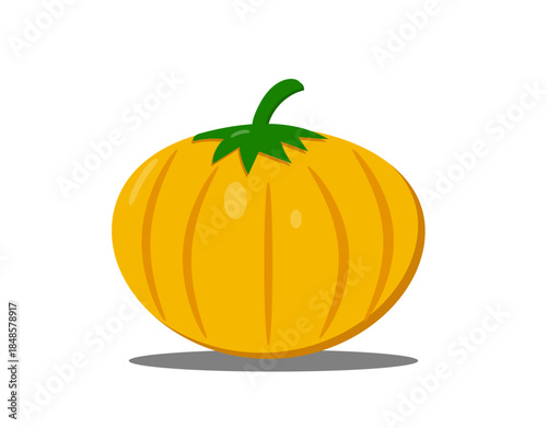 orange pumpkin on a white background,
