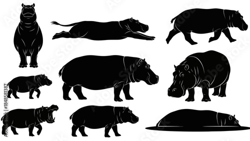 Black silhouette hippo illustrations set