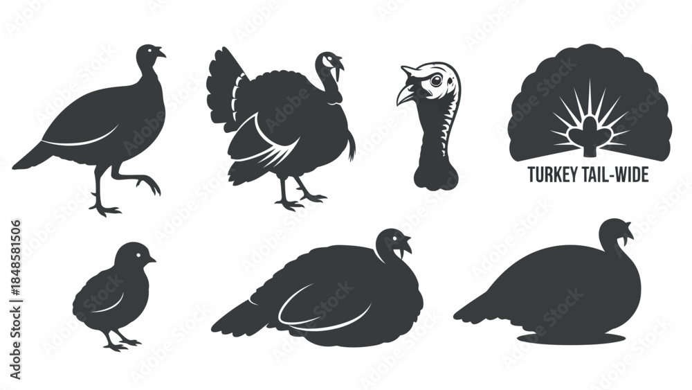 Obraz premium Turkey silhouettes for thanksgiving marketing