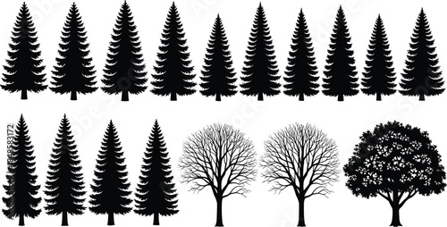 Coniferous and deciduous tree silhouettes set, pine, spruce, oak, leafless winter trees, forest nature elements, landscape architecture, cad drawing flat vector illustration