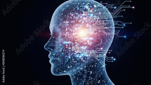 the human brain