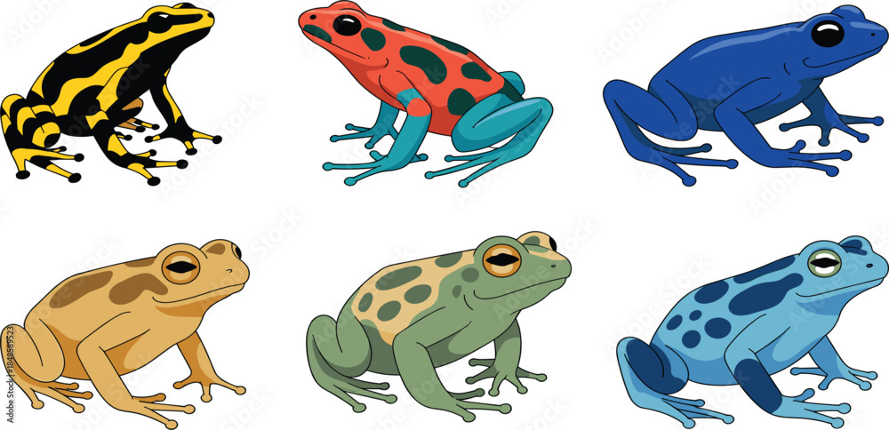 Naklejka premium Set of colorful tropical poison dart frogs and tree frogs, exotic amphibian wildlife vector illustration for nature design