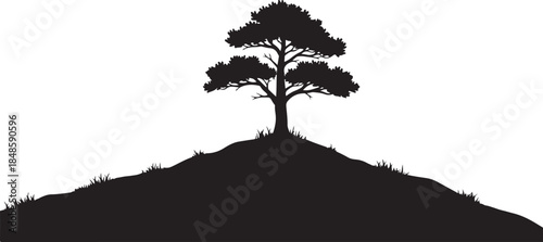 Silhouette of Tree on Hilltop Landscape