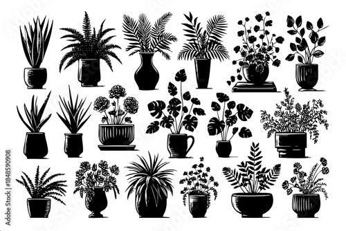 A collection of potted plants in various sizes and shapes. The plants are arranged in a way that creates a sense of depth and dimension