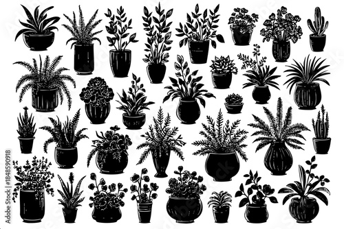 A collection of potted plants in various sizes and shapes. The plants are arranged in a way that creates a sense of depth and dimension
