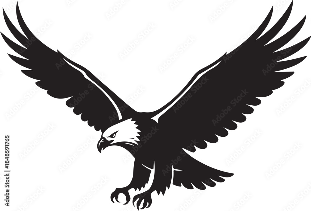 Fototapeta premium Black Eagle Silhouette in Flight