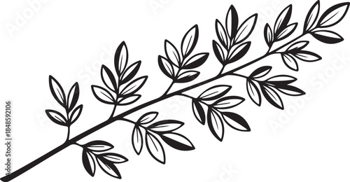 Black and White Leafy Branch Illustration Art