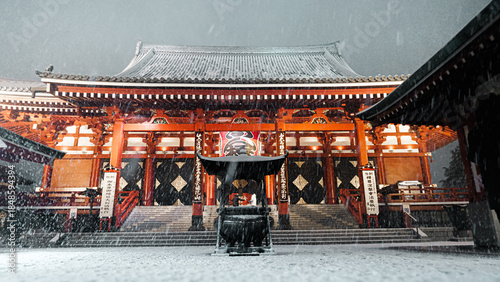 Tableau sur toile Snowfall at Sensoji Temple in Asakusa, Tokyo at Night