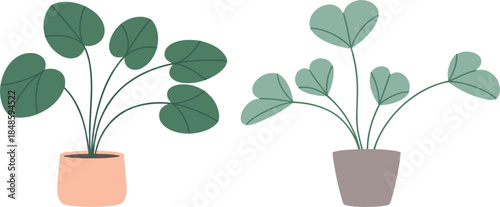 Set of modern potted houseplants with green leaves, minimalist indoor plant vector illustration for home decor