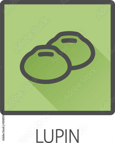 A lupin bean legume food ic...