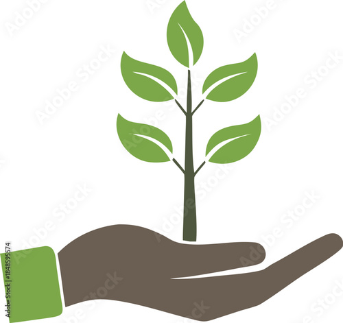 A gentle hand carefully cradles a young vibrant flourishing green plant high quality