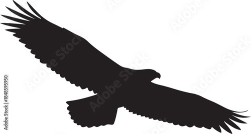 Eagle Soaring with Wings Spread Silhouette
