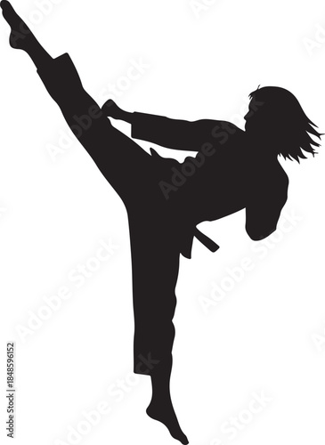 Martial Artist High Kick Silhouette