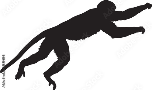 Monkey Silhouette