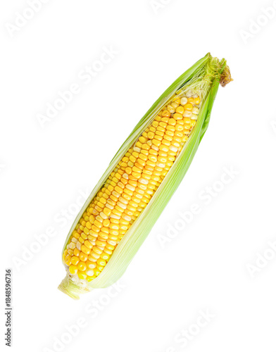 Fresh corn cob on white background
