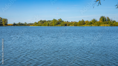 Summer lake in the wild