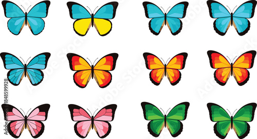 Quadro em tela Colorful butterfly vector set with symmetrical wings, decorative insects collect