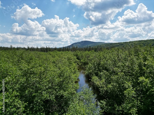 A Serene Creek Winding Through Green Forested Landscape Under a Blue Sky With White Clouds on the Magdalen Islands, Quebec, Canada