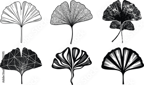 Ginkgo leaf silhouettes collection, black and white botanical vector illustrations, artistic fan shaped leaves, minimalist nature design elements set