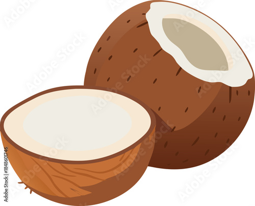 A split coconut showing the white flesh and fibrous brown outer shell