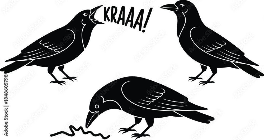 Obraz premium Three black crow silhouettes depicting various behaviors including cawing and foraging for food