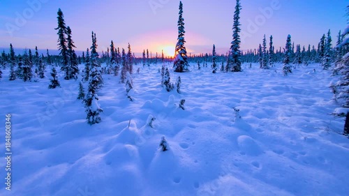 Winter Solstice in the Arctic