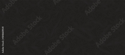 Abstract Topographic Map Design Detailed Elevation Contour Lines Grayscale, Representing Geographic Landscapes, Terrain Mapping, and Minimalist Organic Textures for black background.