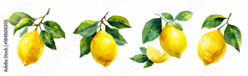 Mediterranean lemon watercolor set with citrus fruits and botanical leaves. Summer Italian pattern design for posters, tiles, and vintage prints with yellow floral elements.