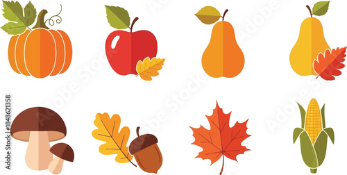 Autumn harvest illustration featuring pumpkins apples pears and other fall produce