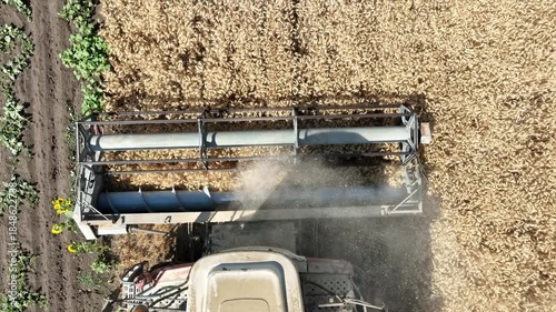Aerial View of Combine Harvester Working in Wheat Field During Harvest Season. Modern Agriculture, Food Production, and Farming Machinery in Rural Countryside
