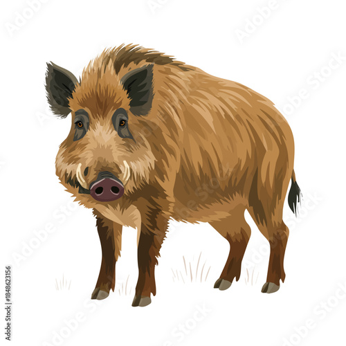 Flat-design 2D vector artwork of a Wild Boar, styled as an icon and isolated against white background