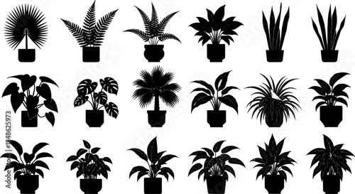 Indoor potted plant silhouette vector set featuring tropical and decorative houseplants in pots isolated on white background for home decor and botanical design