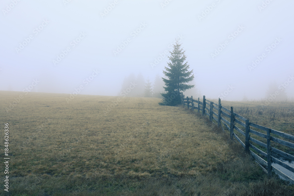 Fototapeta premium A lone spruce tree standing beside a wooden fence, partially wrapped in soft fog, with the fence leading the viewer’s eye toward the tree, creating a calm and minimal atmospheric winter scene.