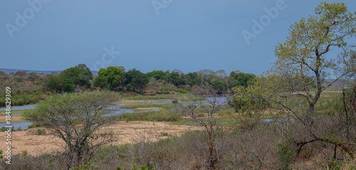 Aussicht und Landschaft - Flora Botanik Busch im Krüger National Park - Kruger Nationalpark