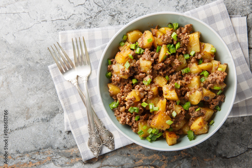 Tableau sur toile Comfort food fried potatoes with ground beef and green onions close-up in a plate on the table