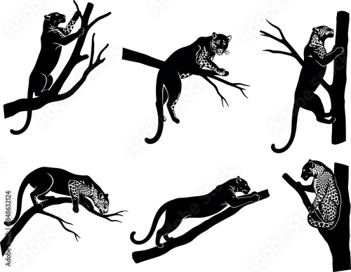 Leopard silhouettes on tree branches in various poses, wildlife and nature concept – flavector