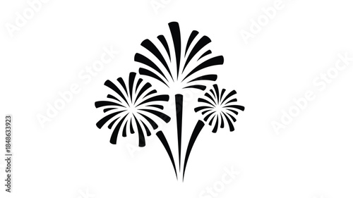 Abstract firework display with radiating bursts a striking black silhouette