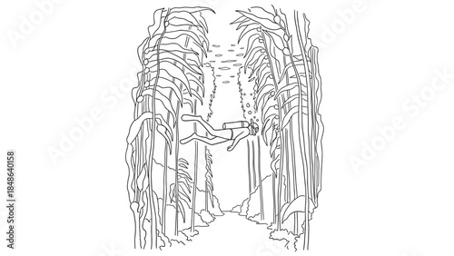 Diver exploring underwater giant kelp forest in black and white