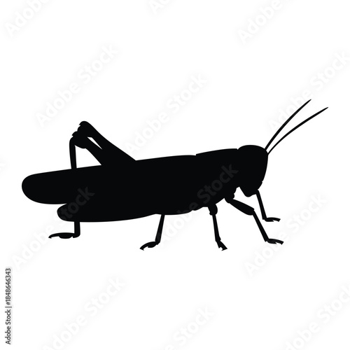 A striking silhouette of a grasshopper displaying its unique form