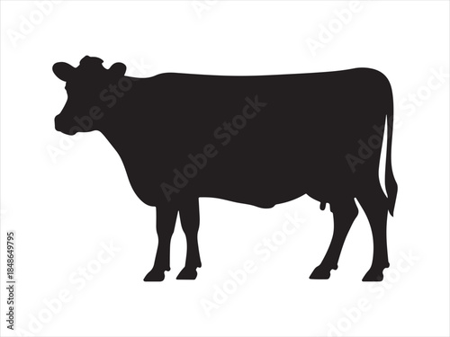 Silhouette cow livestock, farm logo. Cow graphic icon. Cow black silhouette vector isolated on white background. 