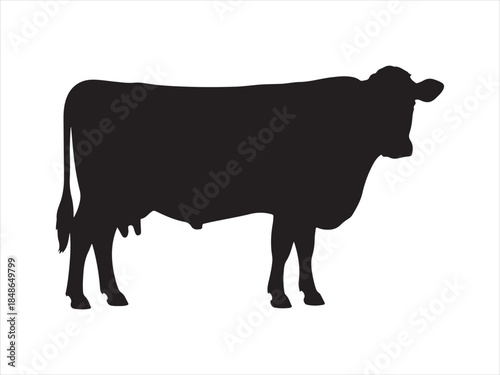 Silhouette cow livestock, farm logo. Cow graphic icon. Cow black silhouette vector isolated on white background. 