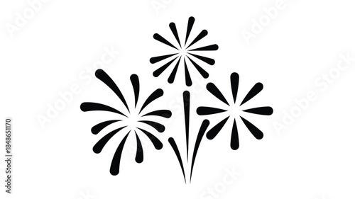 Black and white firework display graphic a striking silhouette