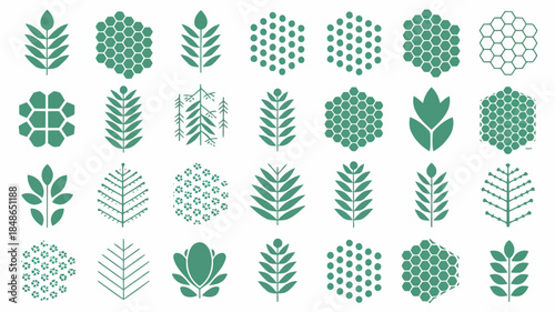Collection of various green leaf patterns and designs on a